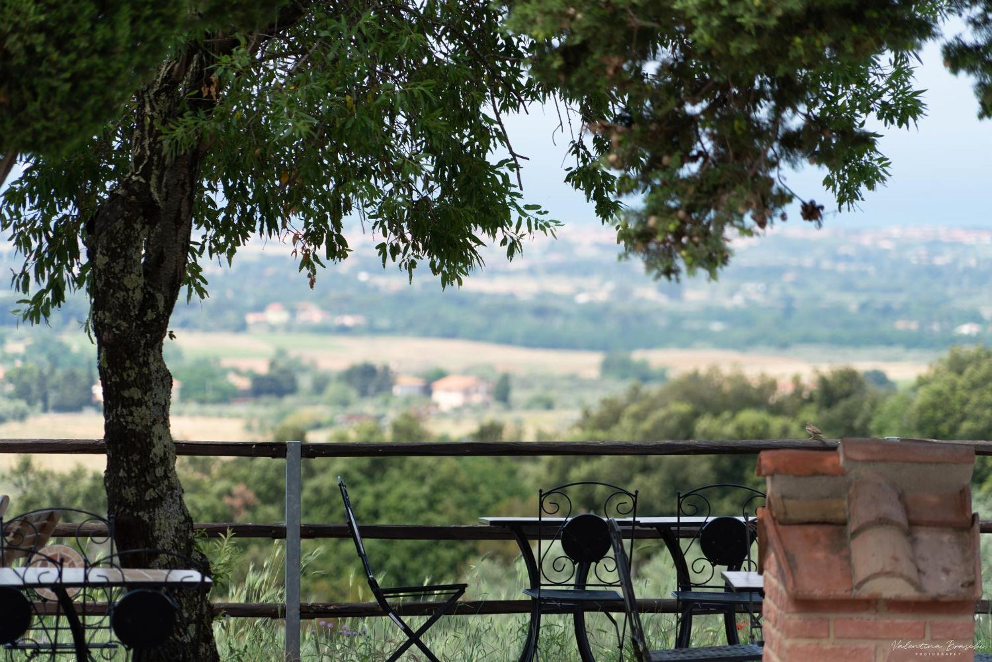 Agriturismo Tenuta Pakravan Papi Riparbella Esterno foto